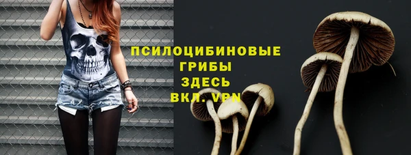 СК Балахна
