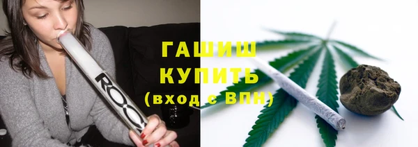 сатива Баксан