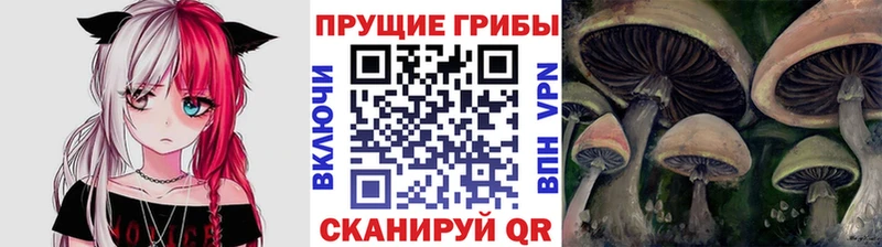 omg ТОР  Ковылкино  Галлюциногенные грибы мицелий 